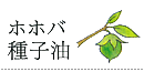 ホホバ種子油